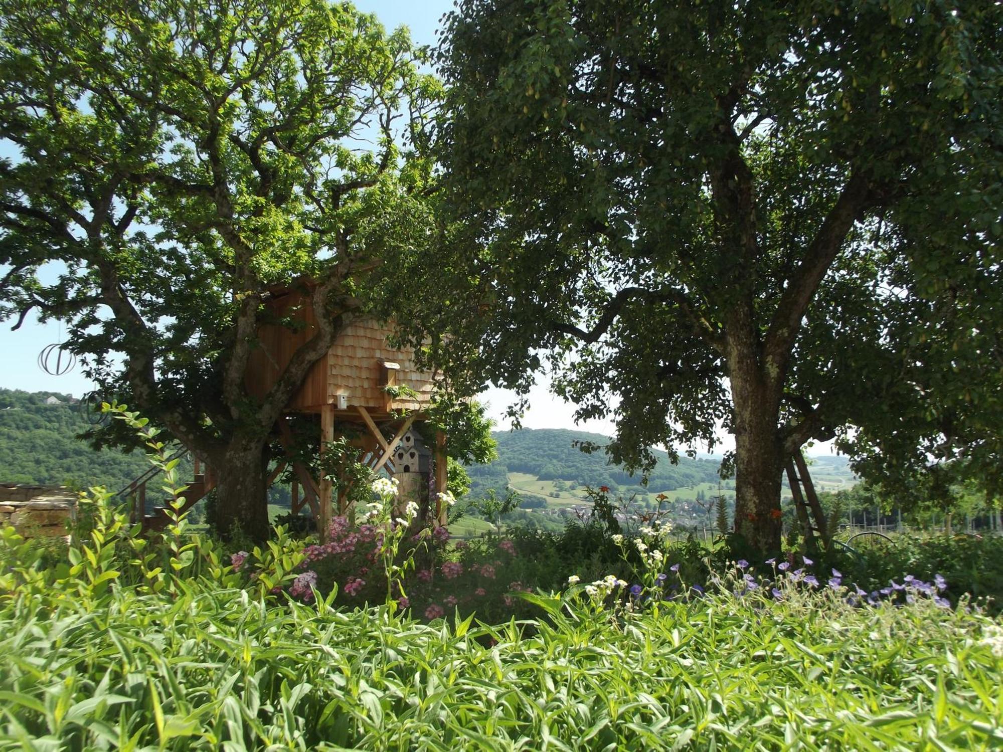 Bed and Breakfast L'Entre-Coeur Menetru-le-Vignoble Exterior foto